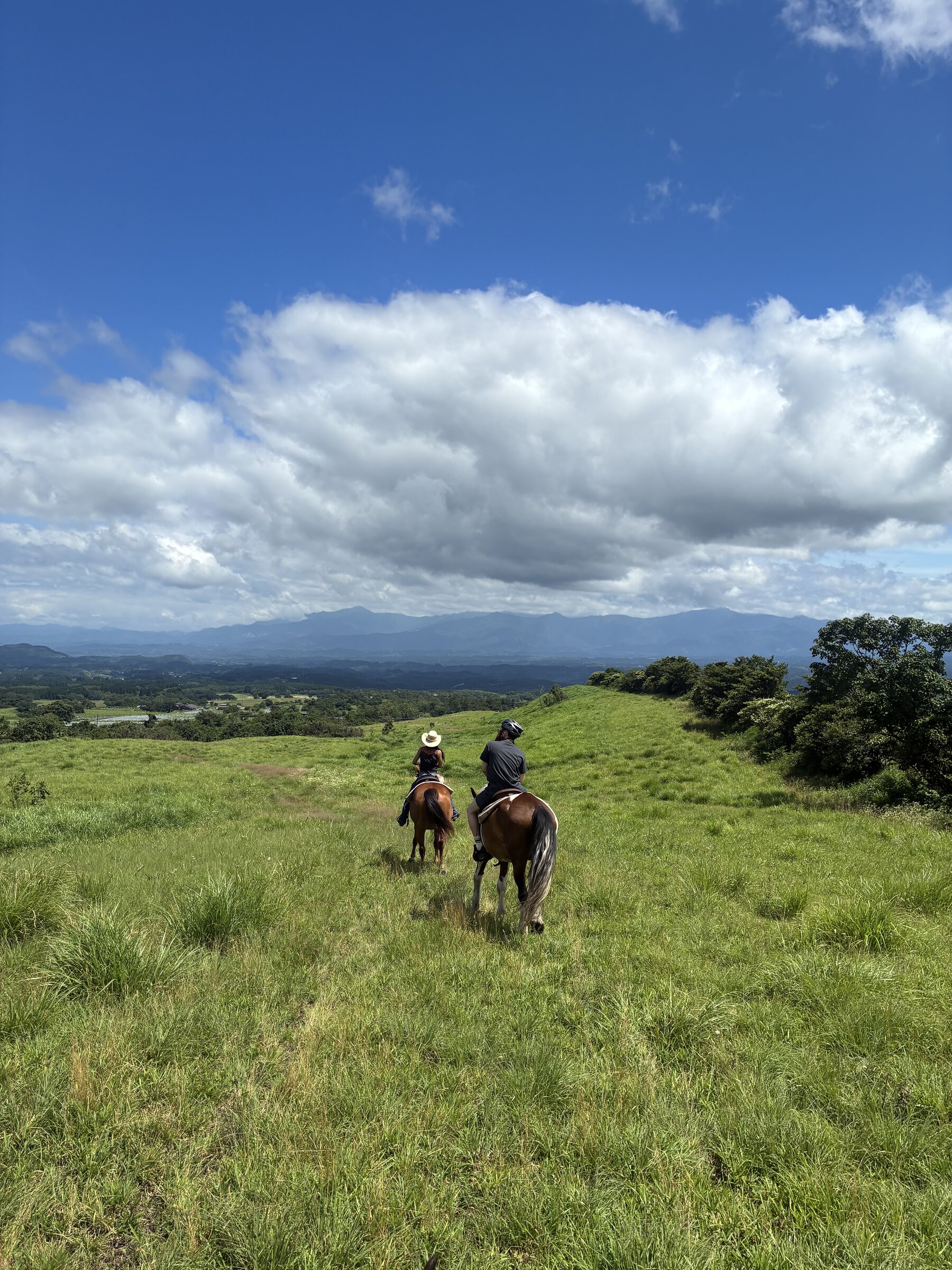 Riding out into the open grassland of the Kuju highlands, seen from behind, with hills in the distance
