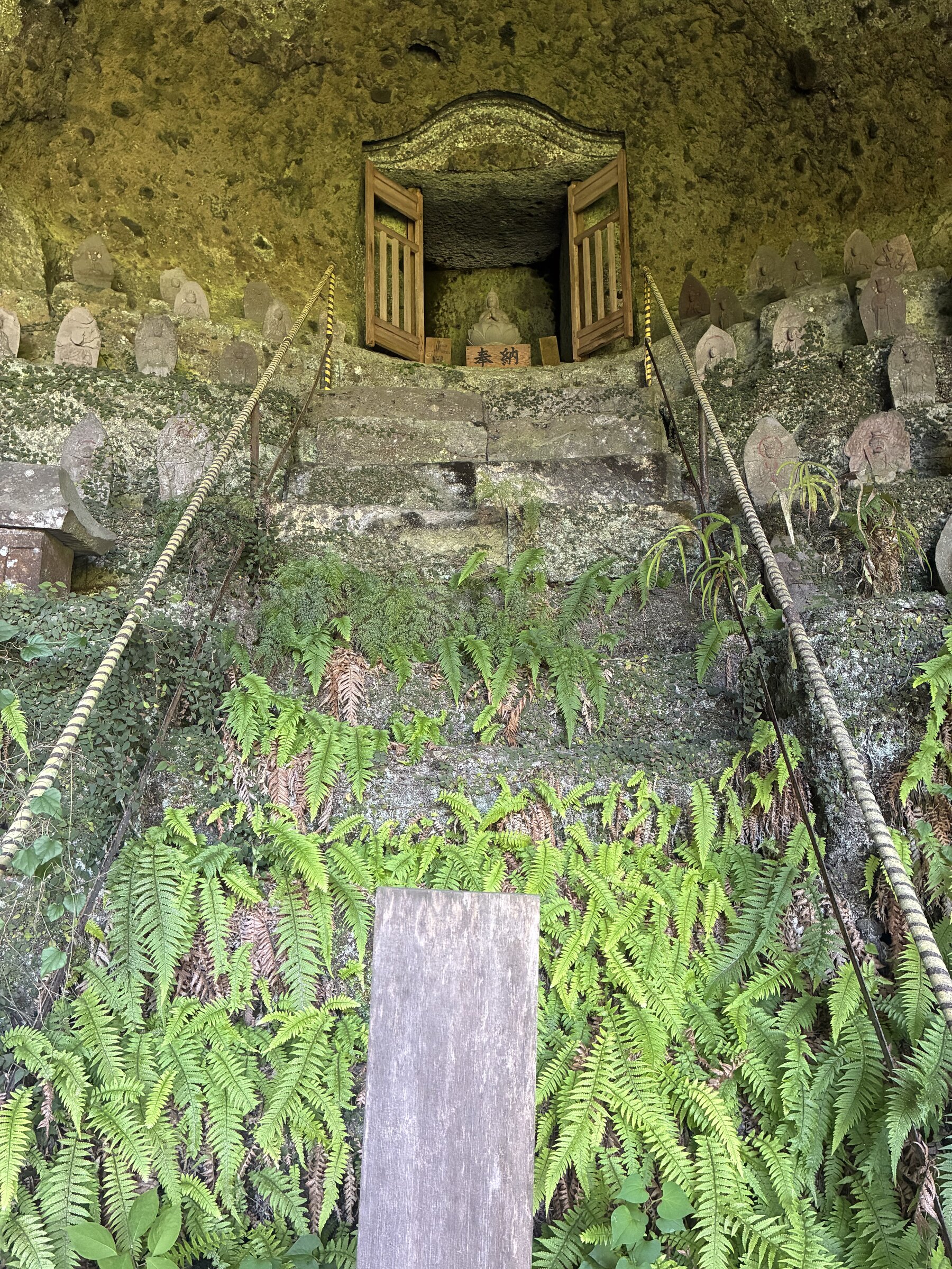 A small shrine door open to reveal a carved Buddha statue, with ferns growing on the stone steps below