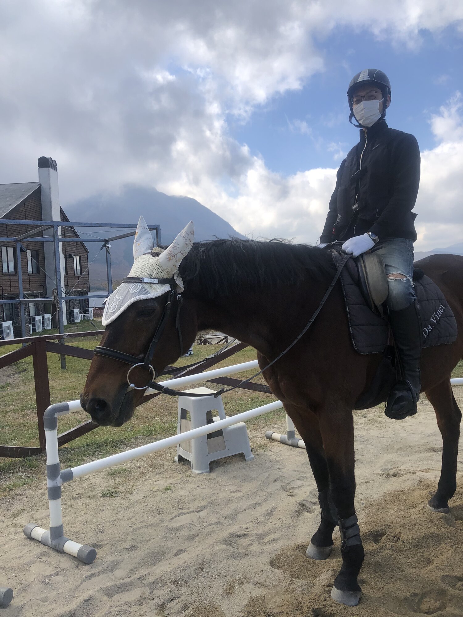 Crane Yufuin: A First Horseback Lesson Under Mt. Yufu