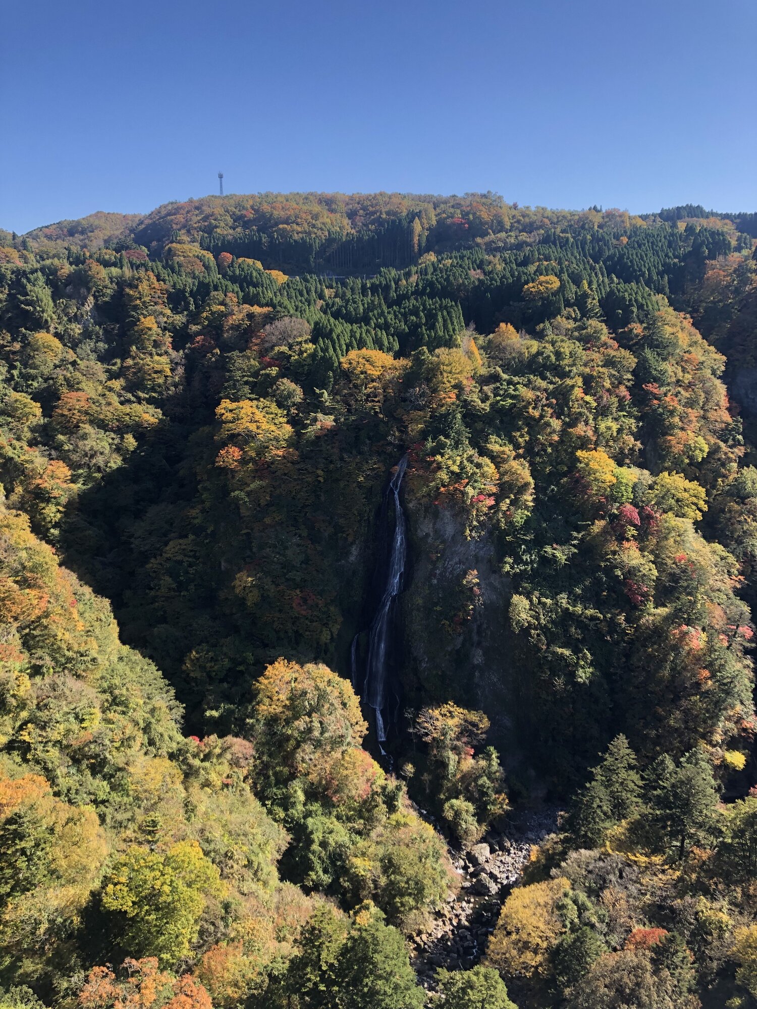 Shindou Falls seen from above, tumbling through a forested gorge in autumn colors, as viewed from the suspension bridge