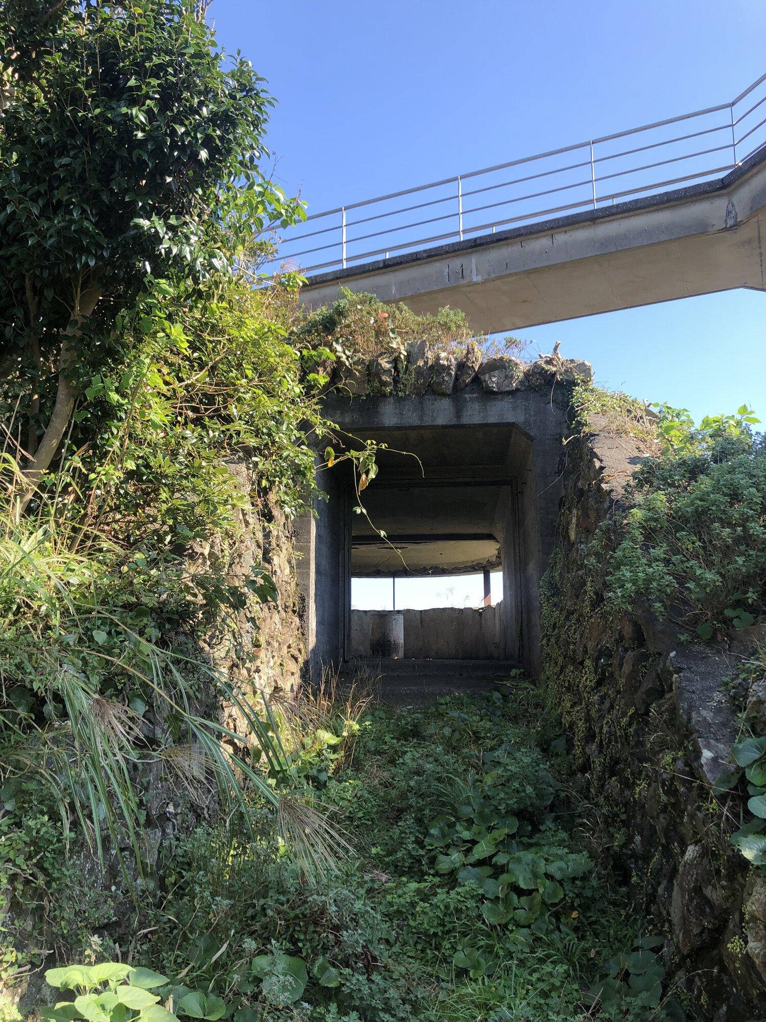 The modern observation bridge passing over a WWII-era concrete gun emplacement ruin at Cape Tsurumi
