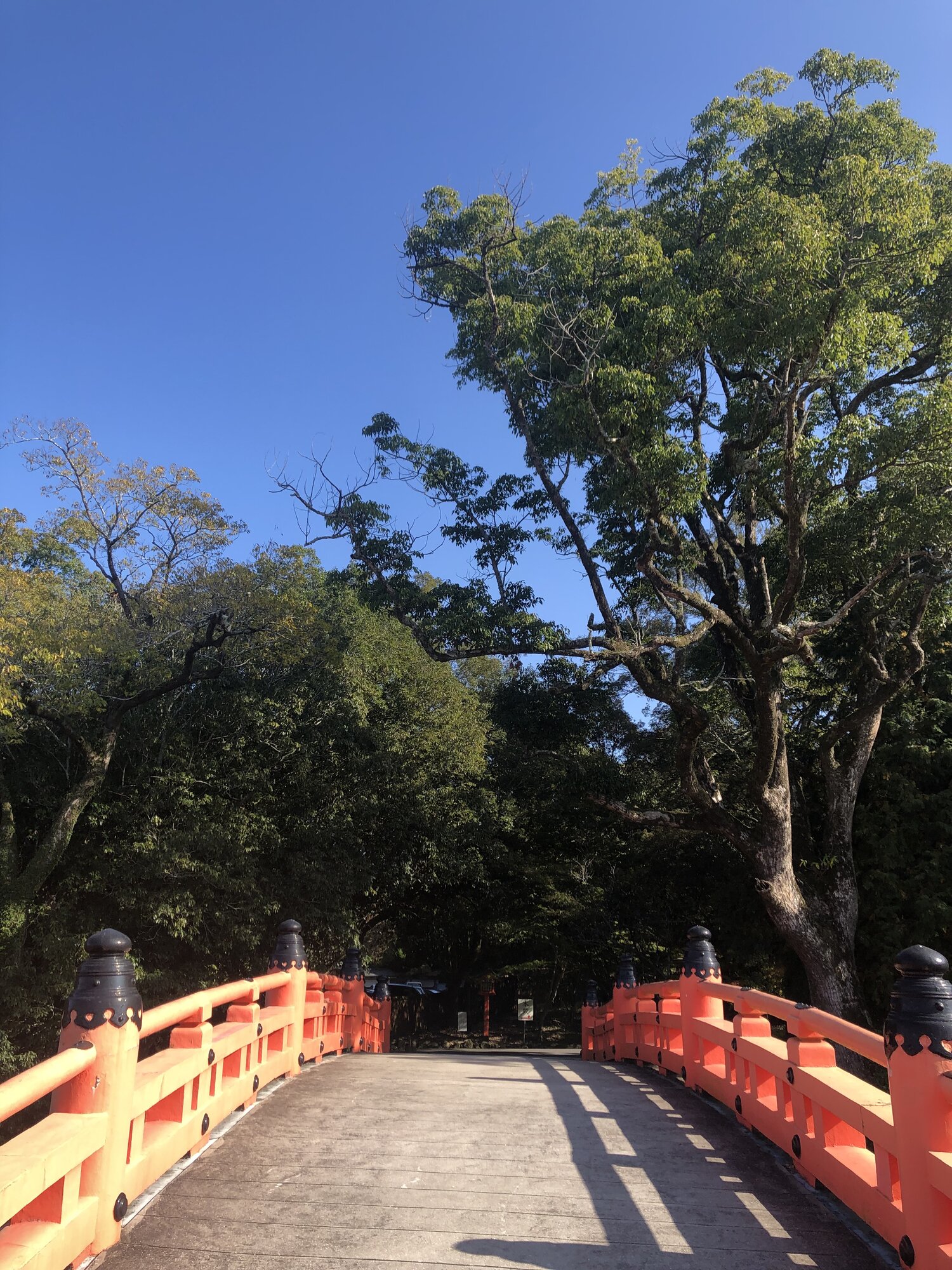 A wide vermillion bridge at Usa Jingu under a clear blue sky